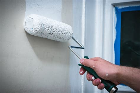 Maintenance and Longevity: Keeping Your Color Fresh