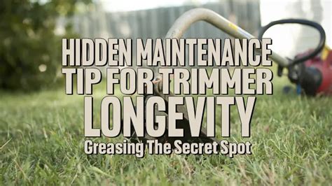 Maintenance and Longevity: Keeping Your Hidden Color Alive