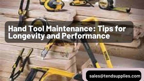 Maintenance and Storage Tips for Longevity