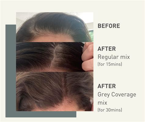 Maintenance is Key: Keeping Your Gray Coverage Fresh