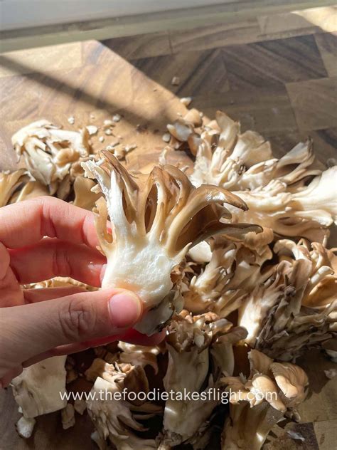Maitake