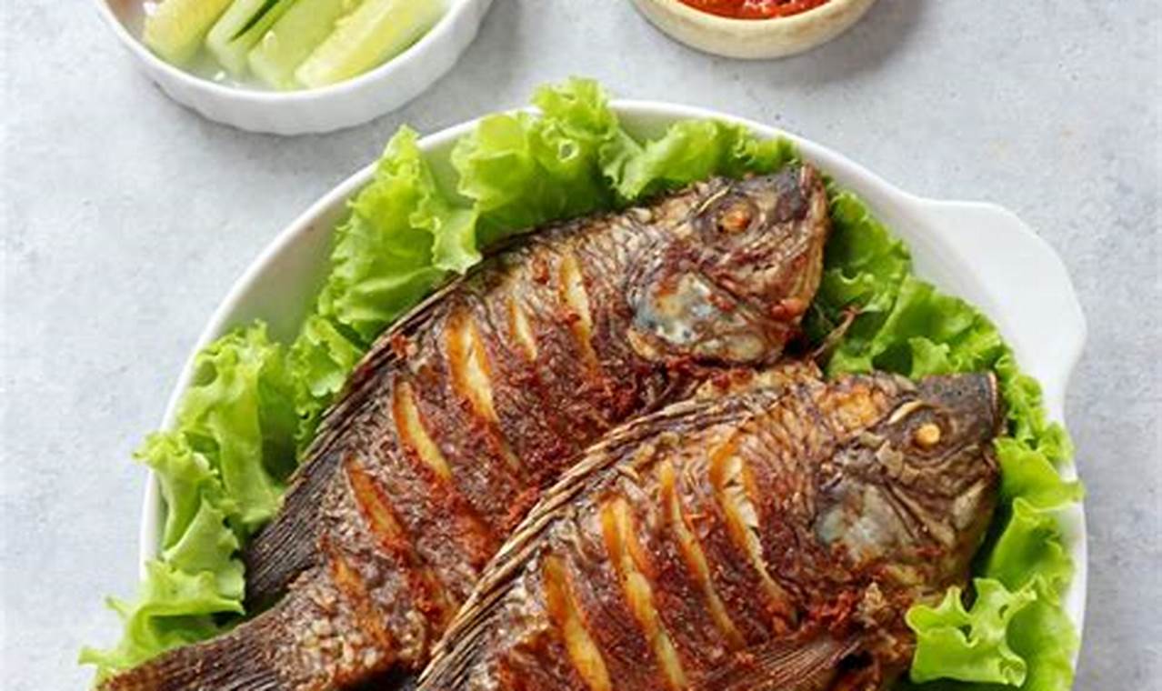 Makanan Ikan Apisto Berkualitas: Rahasia Menjaga Kesehatan dan Keindahan Ikan Apistogramma Anda