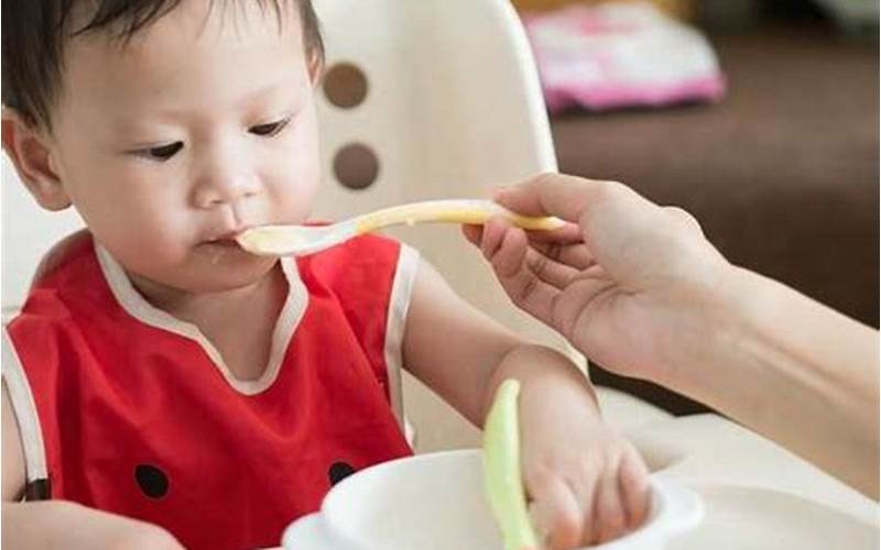 Makanan Pendamping Asi Untuk Bayi 10 Bulan