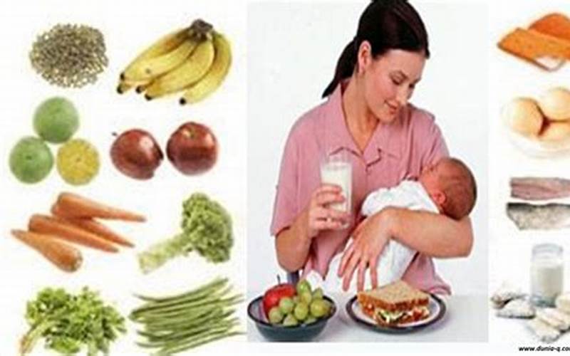 Makanan Sehat Ibu Menyusui