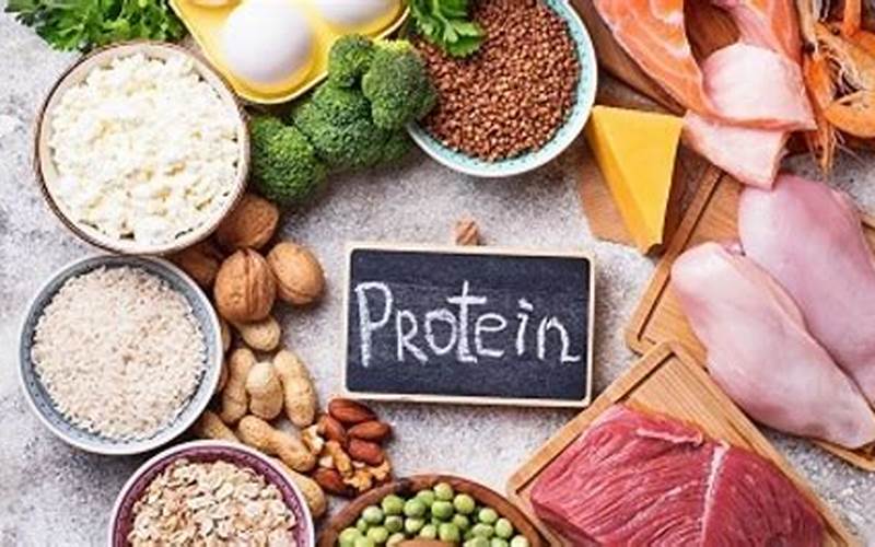 Makanan Sumber Protein