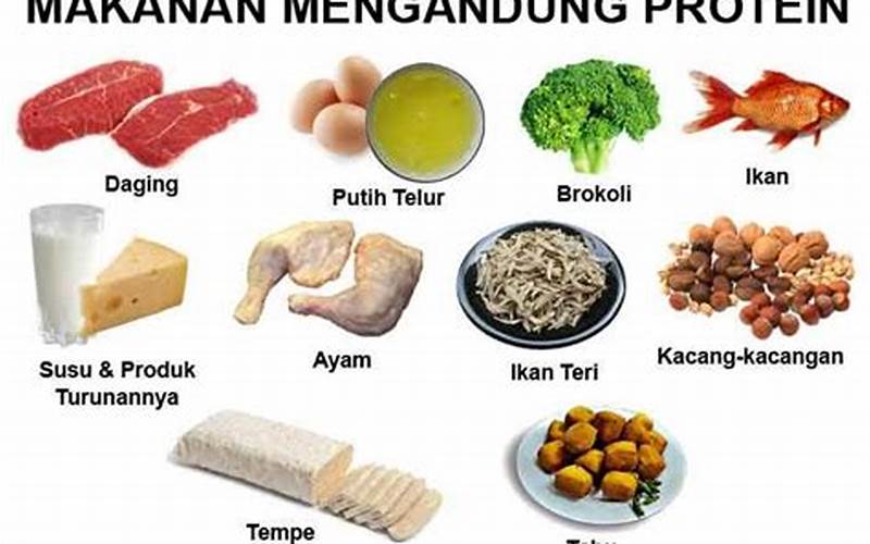 Makanan Yang Kaya Protein