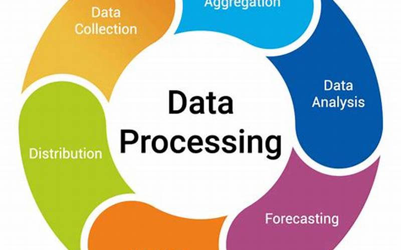 Make Money With Online Data Processing Services: The Complete Guide