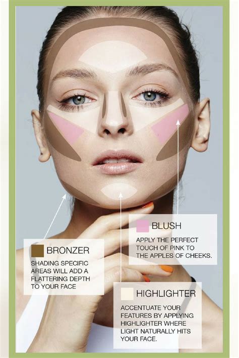 Makeup Contour Diagram
