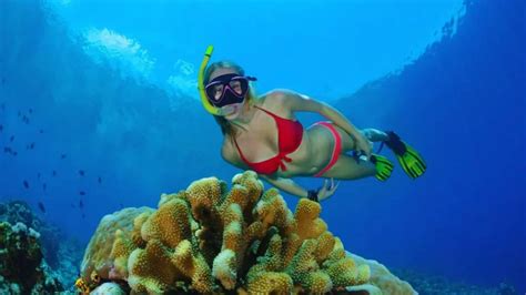 Making Most Of Snorkeling