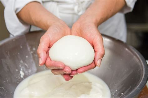 Making Mozzarella Cheese