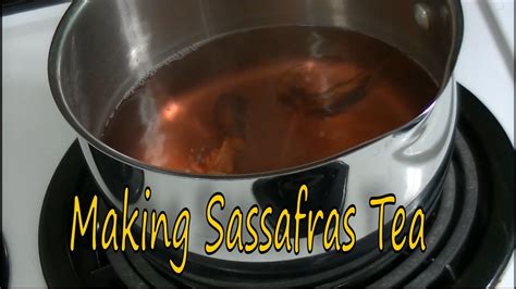 Making Sassafras Tea: A Step-by-Step Guide