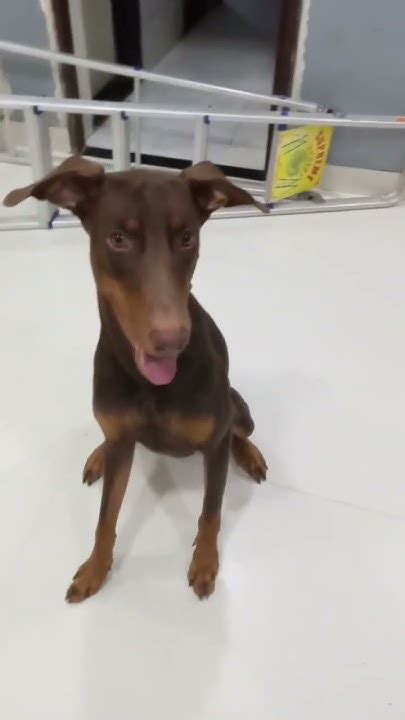 Making Them Truly Special