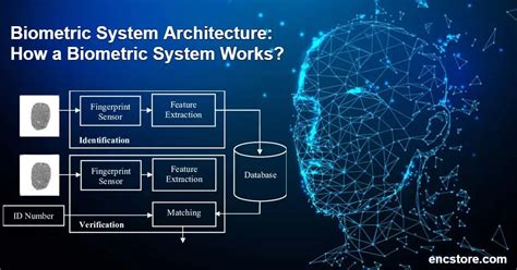 Making biometrics work