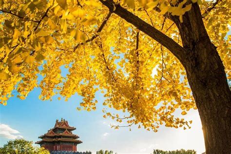 Making the Most of Your Layover Tour