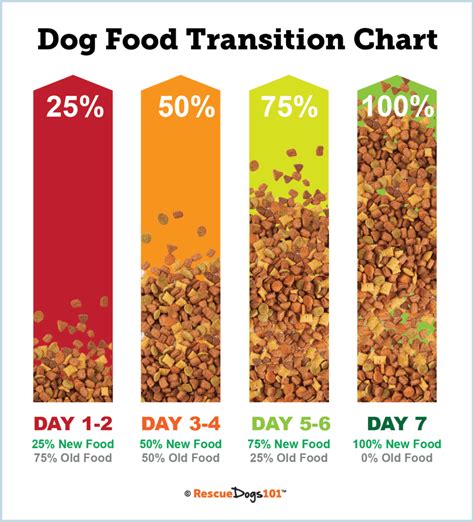 Making the Switch: Tips for Transitioning Your Dog