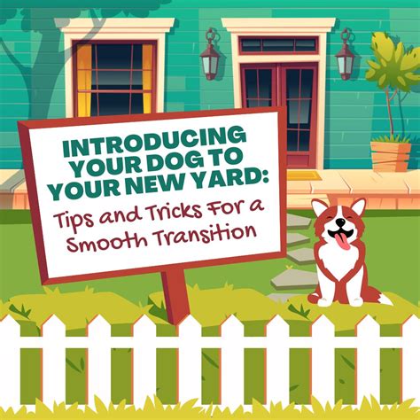 Making the Transition Smooth for Your Dog