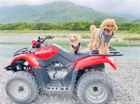 Making the most ATV experience
