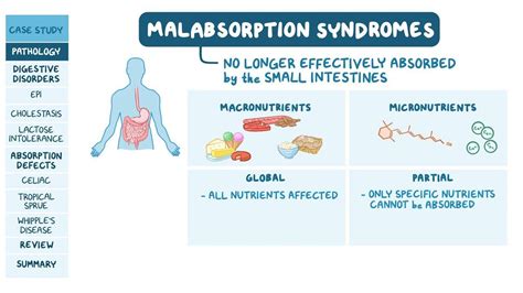 Malabsorption Syndromes in Dogs
