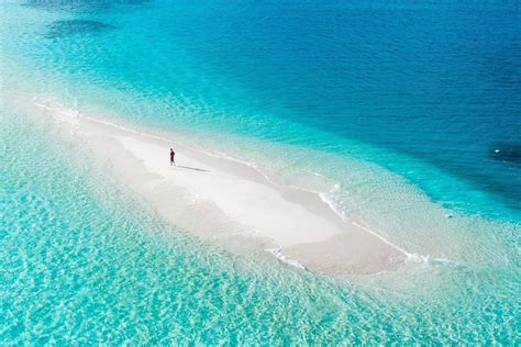 Maldives Sandbank