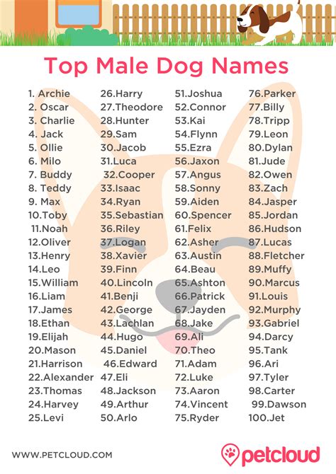 Male Dog Names List