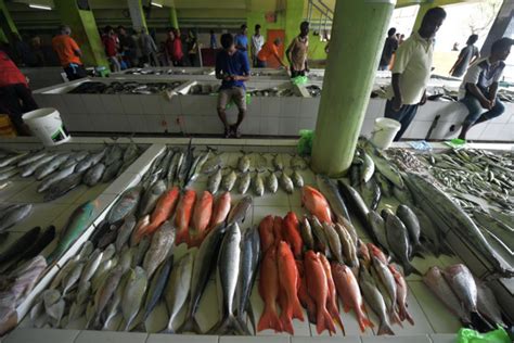 Male Fish Market