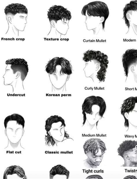 Male Hairstyle Chart