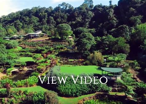 Maleny Botanic Gardens Bird World Overview