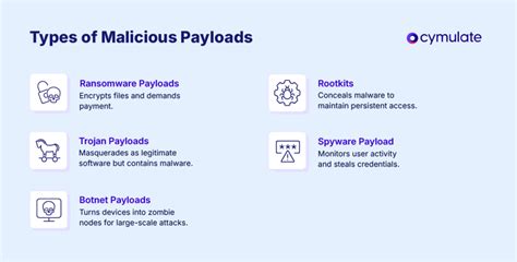 Malicious payloads
