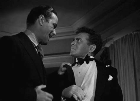 Maltese Shitzu GIFs Find & Share on GIPHY