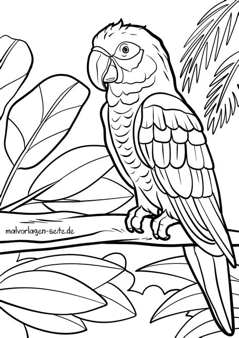Malvorlage Papagei