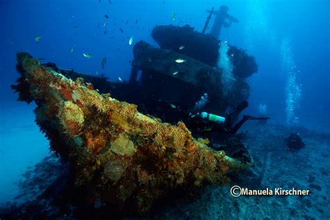 Mama Viña Wreck: An Honest Review of Playa Del Carmen’s Deep Dive