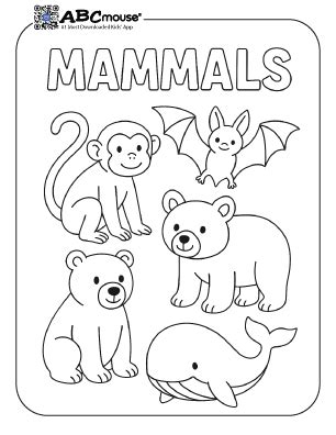 Mammal Coloring Pages
