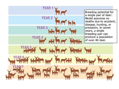 th?q=Managing%20deer%20population%20through%20predation%20control - Managing Deer Population Through Predation Control