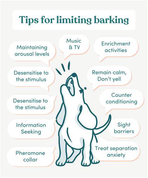Managing Excessive Barking