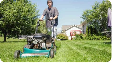 Managing Grass Allergies: A Multifaceted Approach