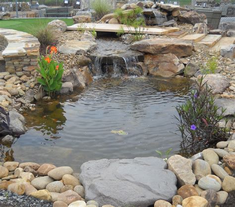 Managing Ponds and Water Features