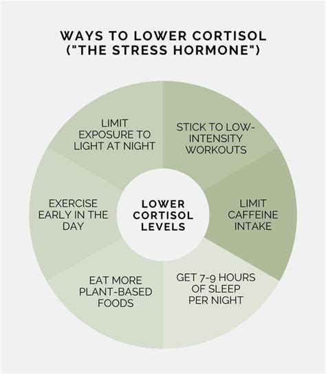 Managing Stress and Cortisol Levels