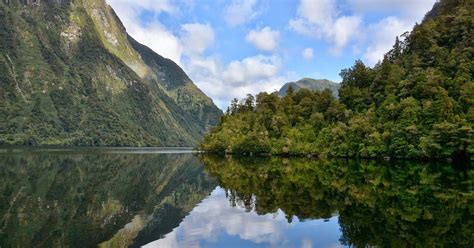 Manapouri Doubtful Sound Day Trip: A Deep Dive Review