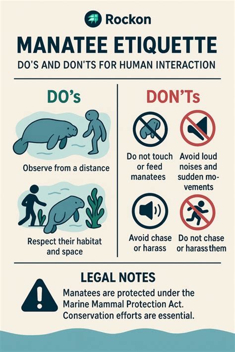 Manatee Etiquette