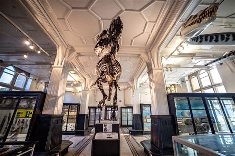 Manchester Museum Guided Tour: A Deep Exploration