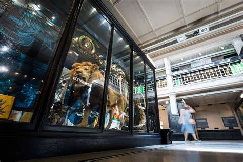 Manchester Museum Amenities