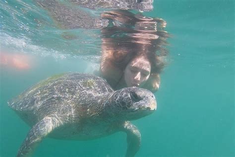 Mancora turtle tours