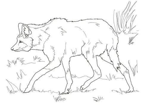 Maned Wolf Coloring Pages