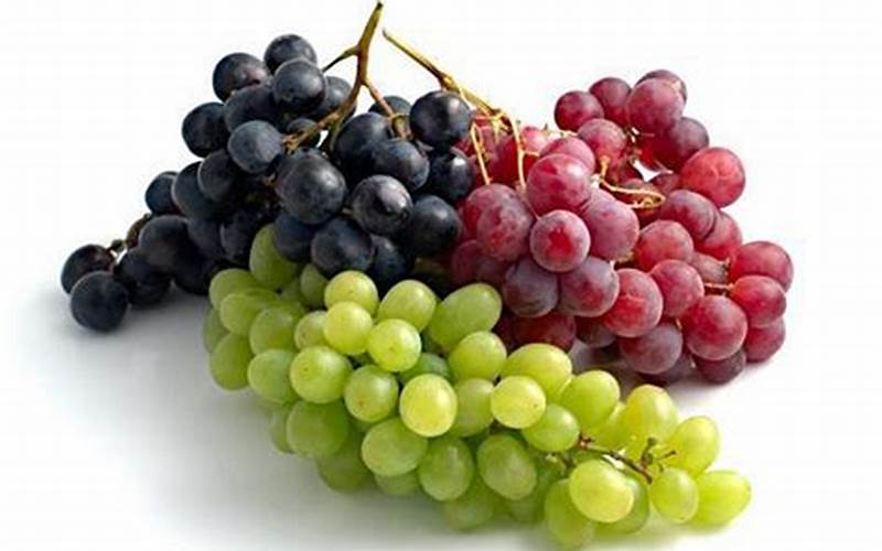 Manfaat Anggur Ungu Bagi Kesehatan