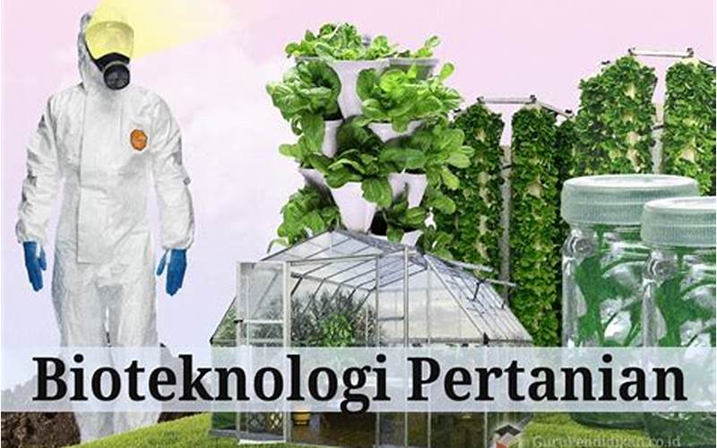 Manfaat Bioteknologi Pertanian