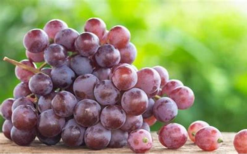 Manfaat Buah Anggur Untuk Kesehatan Jantung