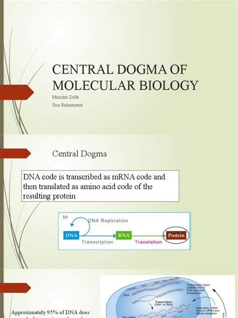 Manfaat Dogma Sentral Biologi Molekuler