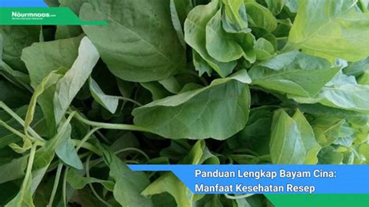 Manfaat Kesehatan, Resep6-10k