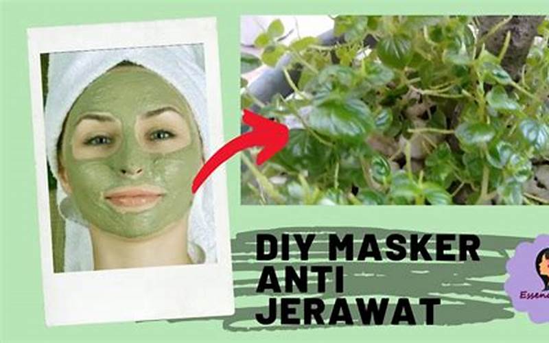 Manfaat Masker Hchana Untuk Jerawat