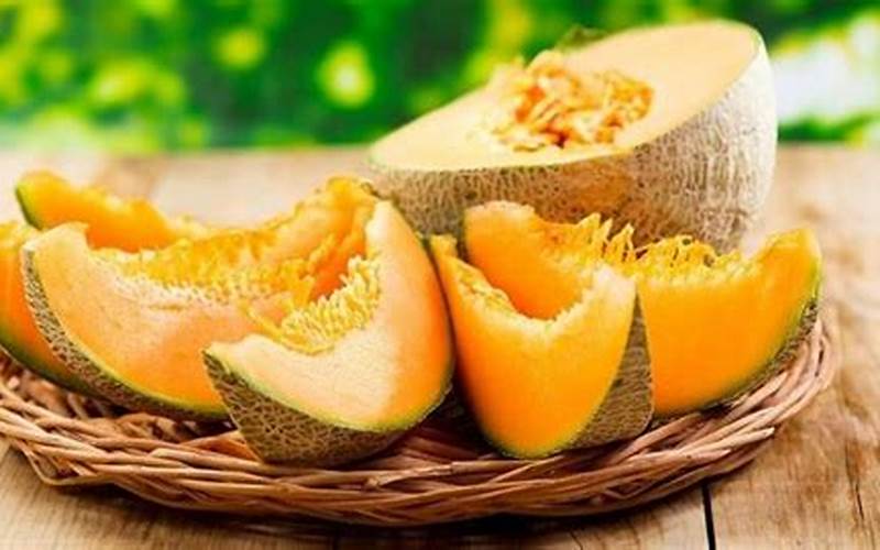 Manfaat Melon Untuk Jerawat